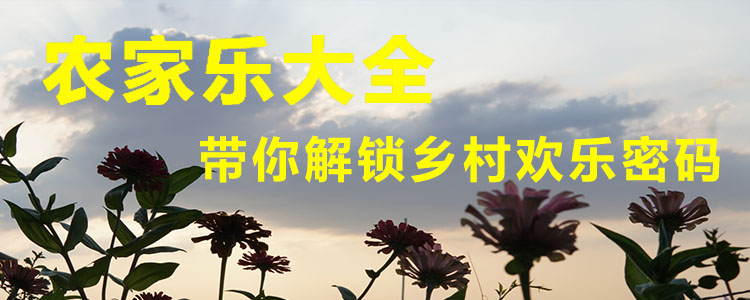 重庆公墓墓型大全