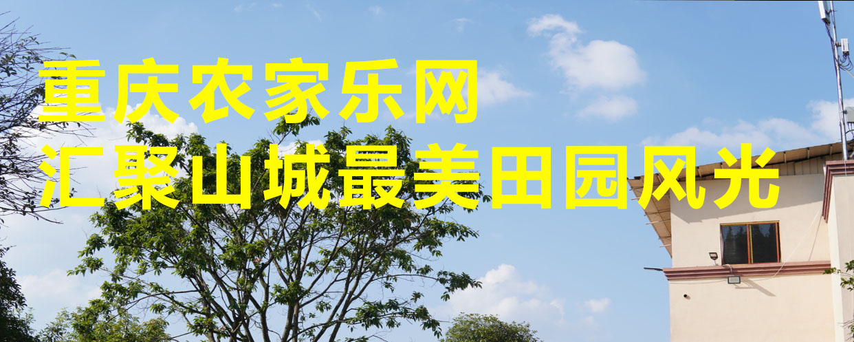 一站式服务