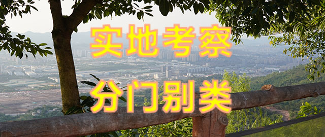 免费看墓班车
