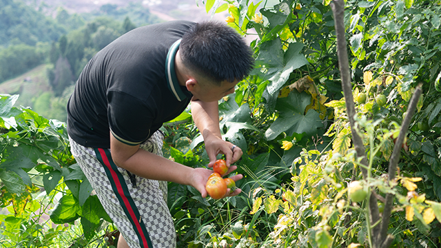 农家乐团建怎么策划？（上）