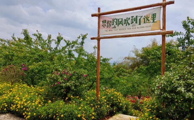 云鹤生态艺术陵园