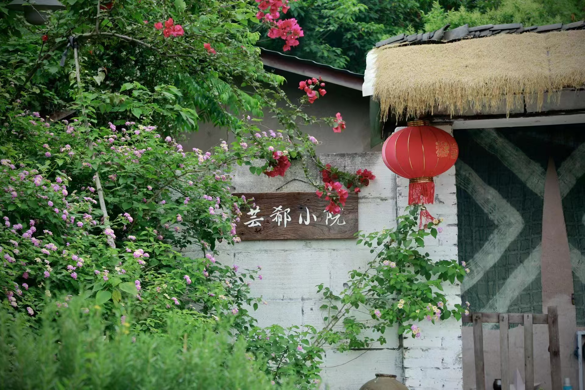 九龙坡宝藏级自助农家小院，绝对小众！