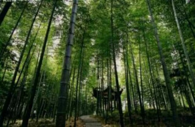 云鹤生态艺术陵园