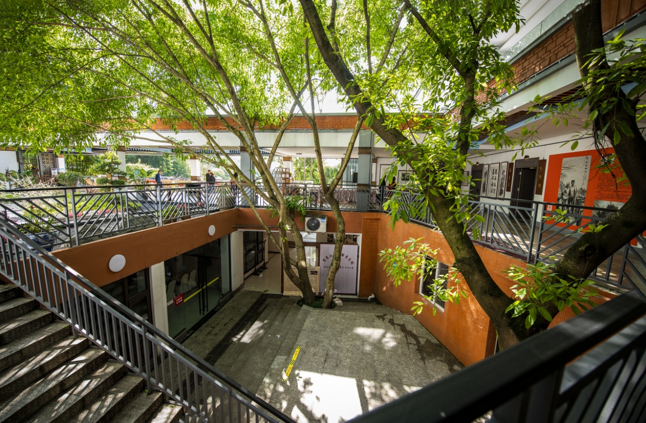 北碚区缙云山南麓：团建与休闲的理想之地