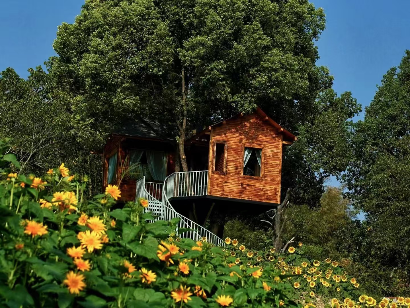 天坪山云林天乡景区：重庆近郊的农文旅融合瑰宝