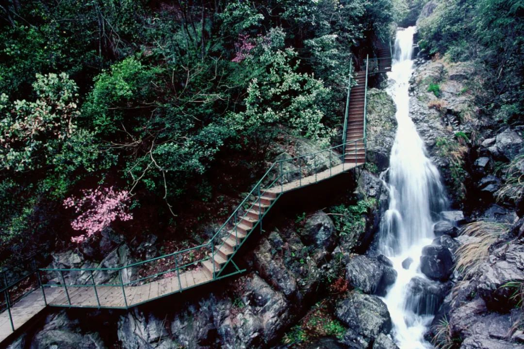 博林度假村：隐于铁山坪玉峰山间的悠然桃源