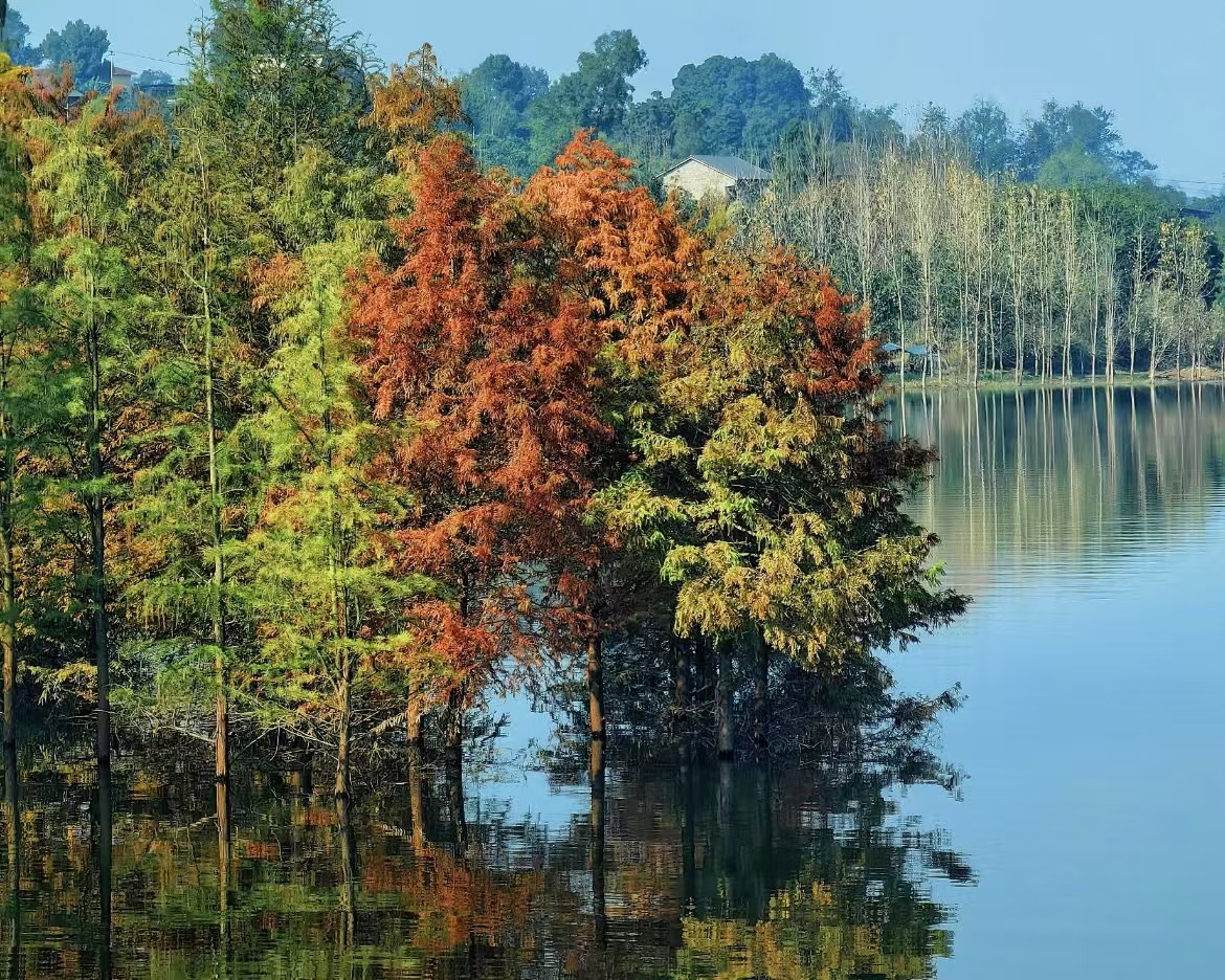 景湖春苑农家乐：尽享长寿湖畔太极岛的湖光山色之美