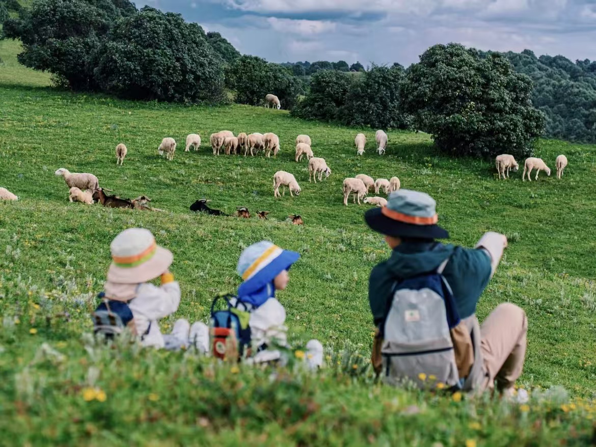亲子游玩需要注意什么？看完这篇内容就知道了