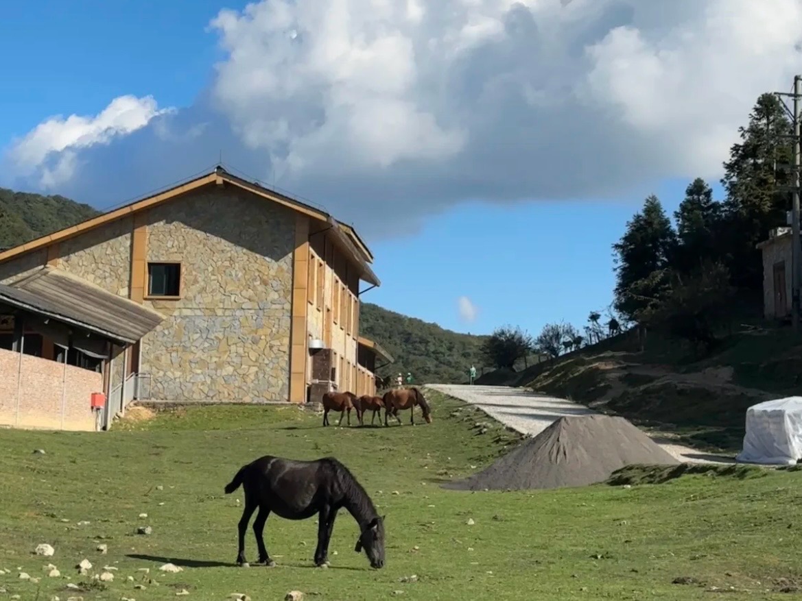 武隆仙女山旅游防宰省钱攻略
