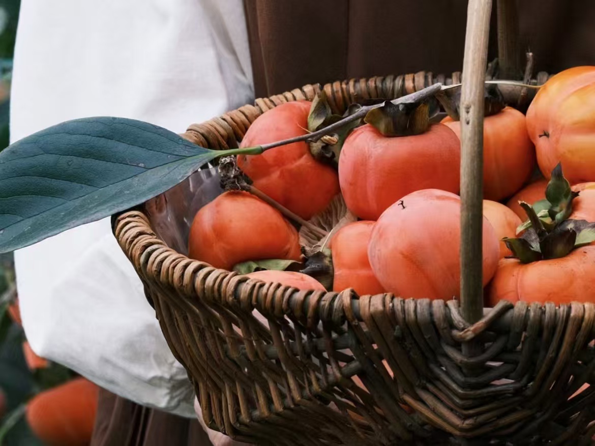 采摘之旅，你做好周全准备了吗？