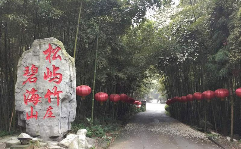 碧海山庄：自然与休闲的完美融合