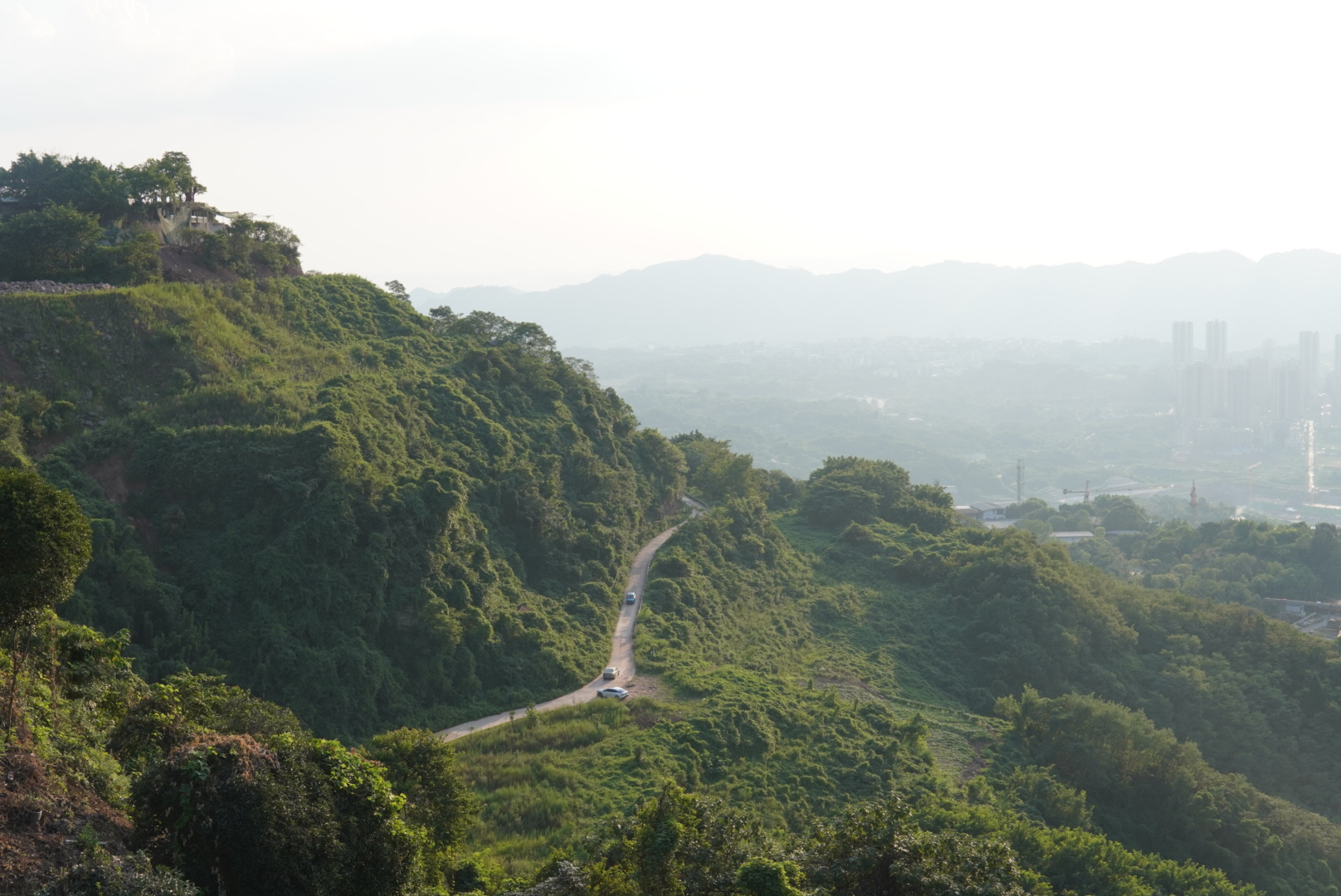 1731404528394358.jpg 1731404528394358.jpg