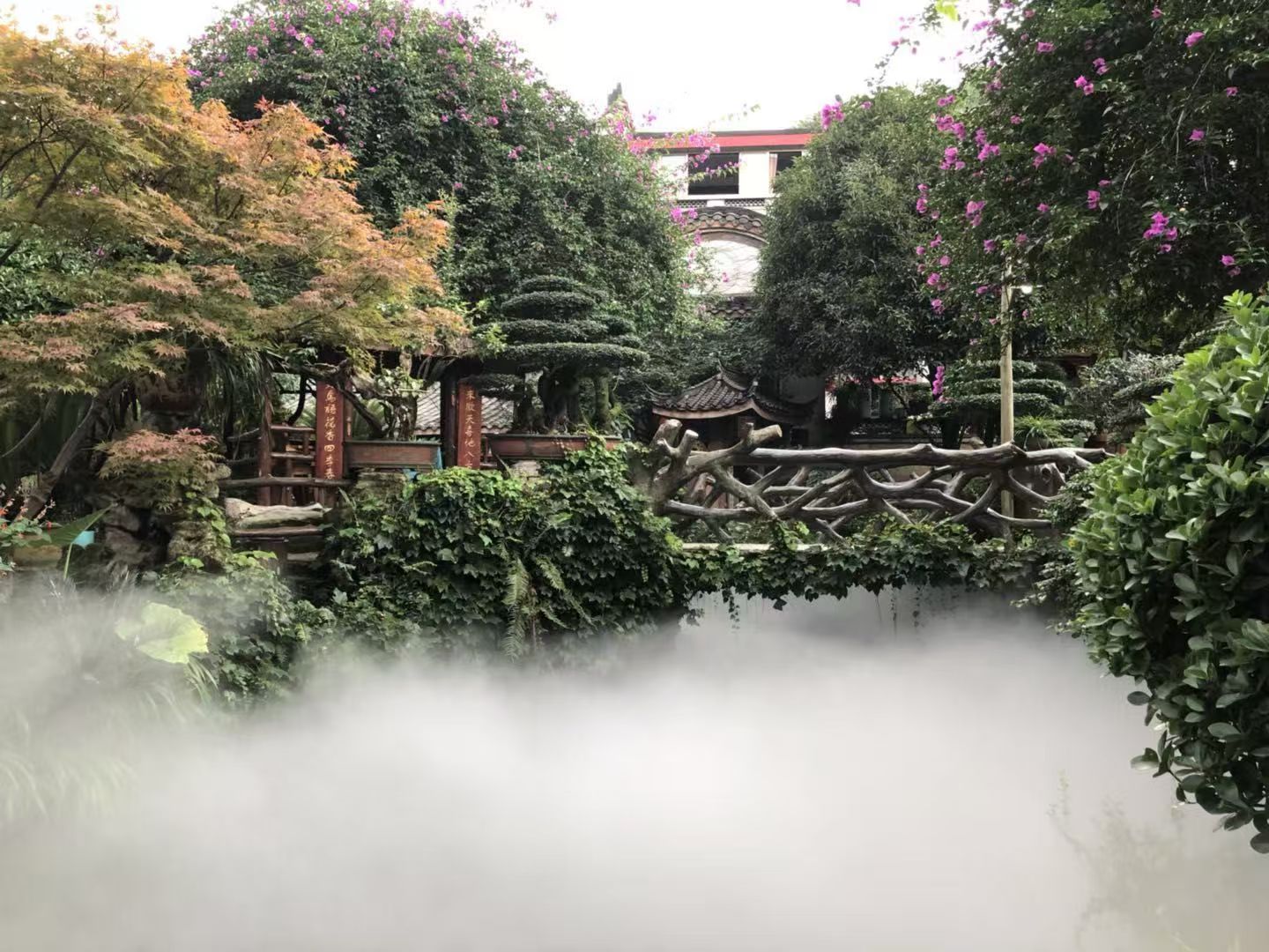 逃离喧嚣，拥抱自然 |龙洞私家园林