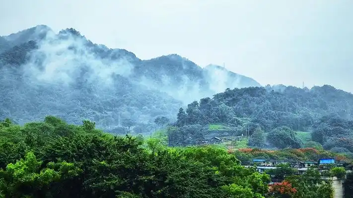农业农村现代化发展成就和启示
