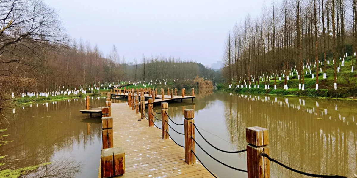 重庆江边宝藏露营地盘点！周末好去处