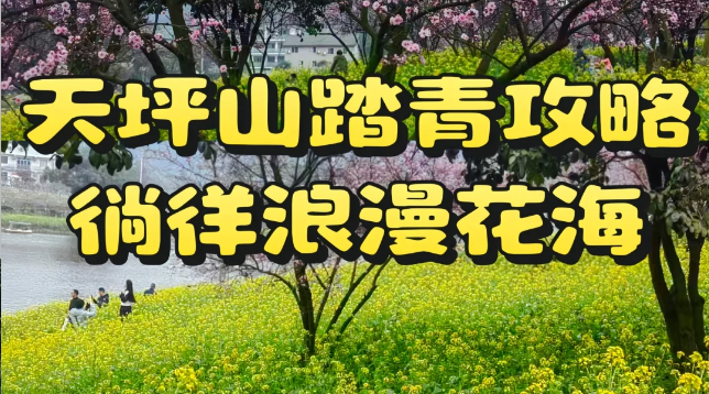天坪山踏青攻略｜徜徉浪漫花海