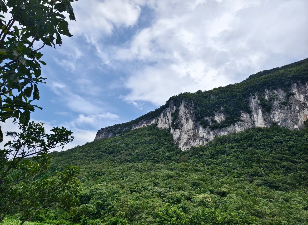 重庆白马山避暑游玩攻略：1400米高山森林里的清凉世界