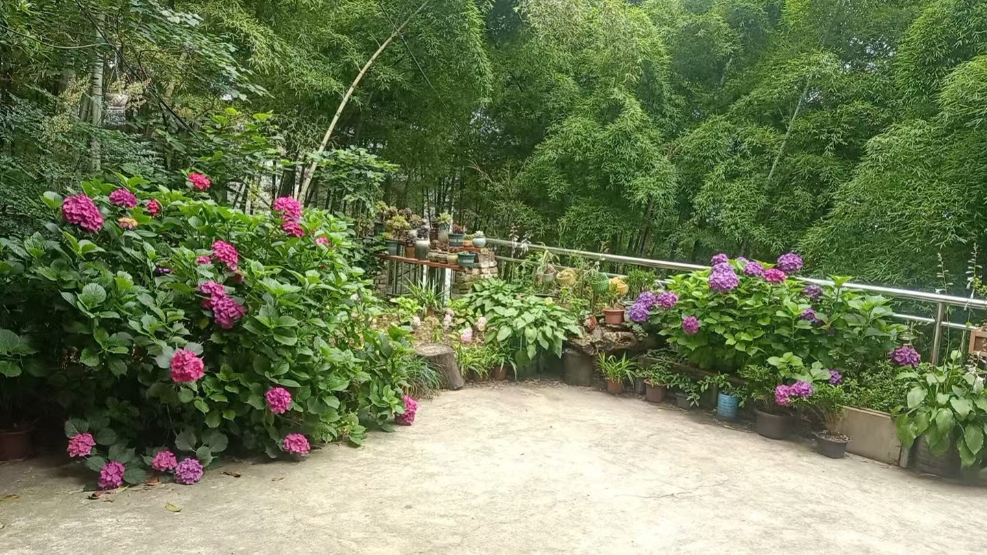 无论你来过缙云山多少回，这家山庄您一定要来一次！