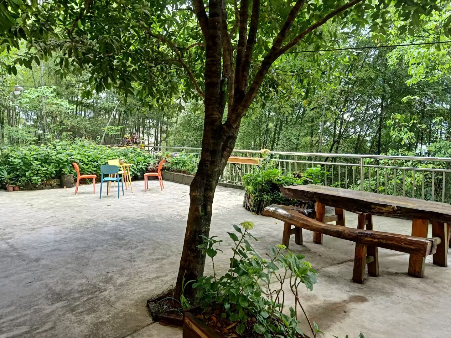 无论您来过缙云山多少回，这次一定要来点不一样的！