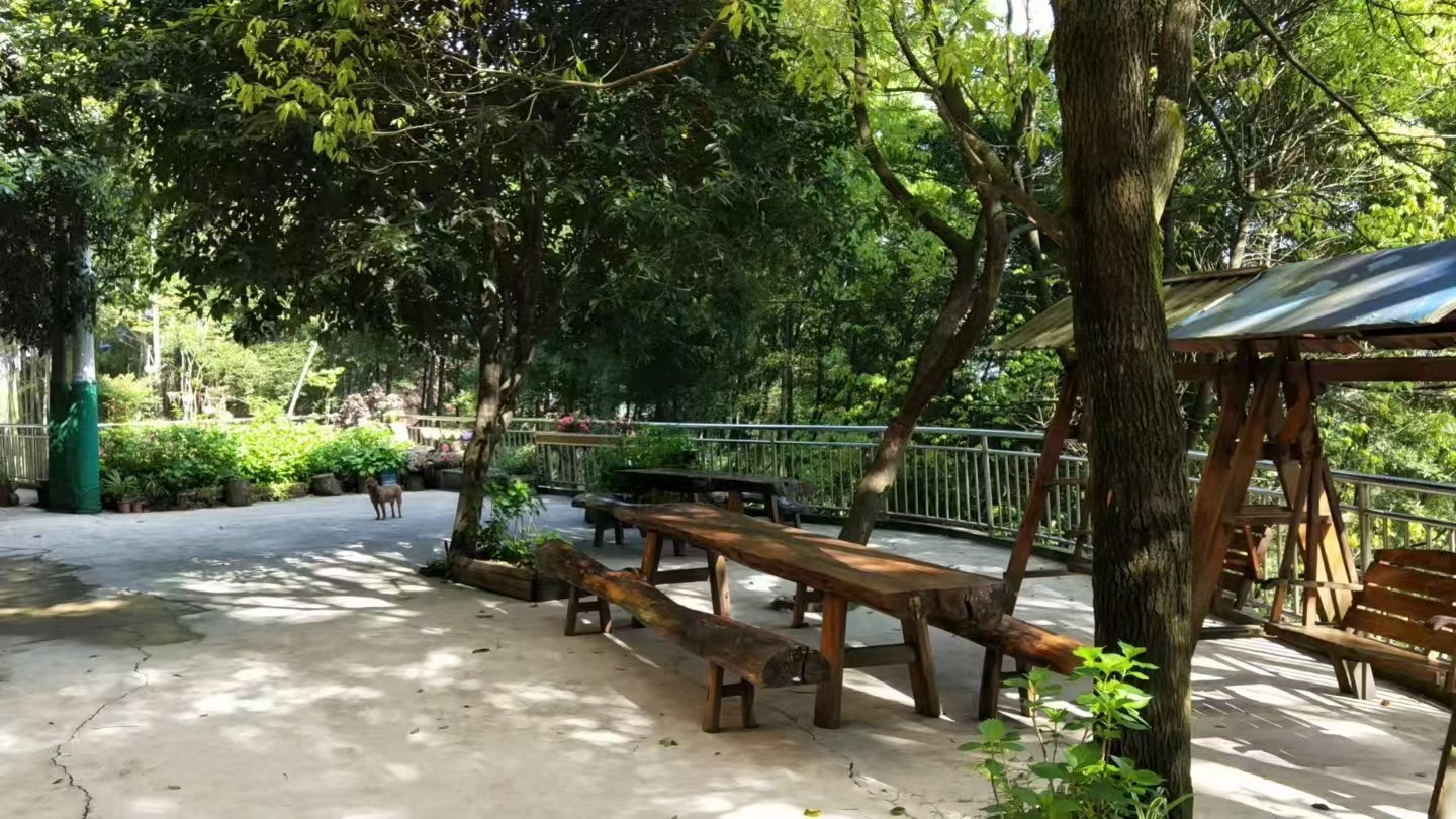 缙云山深处，藏着您还没体验过的“老地方”