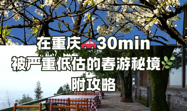 在重庆，被严重低估的春游秘境